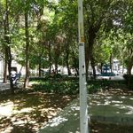 بوستان یاس