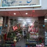 سارینا گل