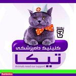 کلینیک دامپزشکی تیکا