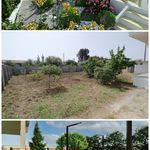 عیسی ملائی دارابی