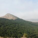 دشت جنگل ابر