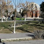 بوستان شفق