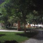 بوستان شفق