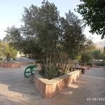 بوستان گلزار