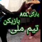 کاردرمانی و گفتاردرمانی سیدالشهداء (ع)