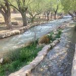 زر چشمه