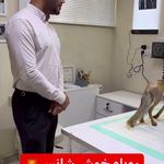 دامپزشکی دکتر جلیلیان