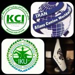 مربی و رفتارشناس سگ