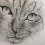 آموزشگاه نقاشی لوتوس