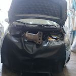 اگزوز بهداد