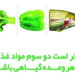 عاطفه حسنی نسب