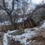 ارکان