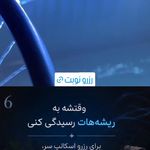 فشیال و اسکالپ زن روز