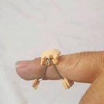 ارتوپدی فنی تکنوپدی