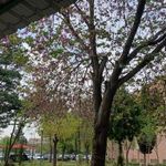 دانشکده روانشناسی و علوم تربیتی