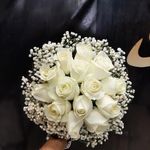 گل شهرزاد
