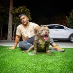 پت شاپ فراز (عظیمیه)