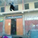میل لنگ تراشی برادران میرشکاران