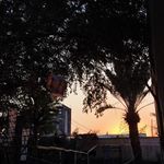عمارت چند درخت