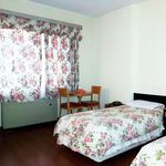 هتل نادری نو