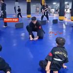 باشگاه رزمی نینجا