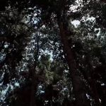 مهدکودک و پیش دبستانی ستایش