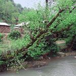 روستای کواستانی و زیبای شهربیجار