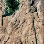 دهیاری و شورای روستای سرمشهد