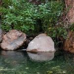 آبشار شهنیز