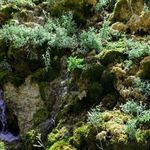 آبشار شهنیز