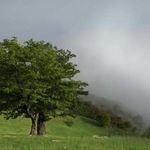 روستای جنگلی افراتخته