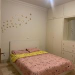 اجاره آپارتمان مبله روزانه  (مهشید گچکار)