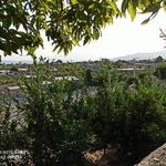 پاریزگو زاکین