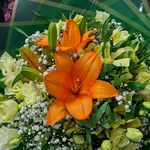 گلفروشی الهه فلاورسفارش دسته گل وتاج گل)