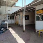 شرکت قارچ مه چین