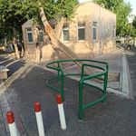 سرویس بهداشتی