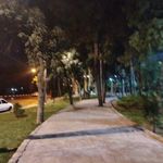 بوستان شکوفه ها