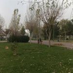 پارک