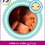 تصویربرداری سونوگرافی سیتی اسکن سایه