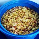 محصولات ارگانیک نمونه