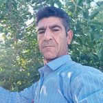 جمعه گلمحمدی
