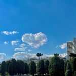 بانک سپه ( شعبه شهرک امید )