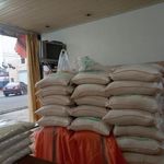 بورس برنج شمال. علیزاده