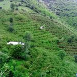 منطقه حفاظت گردیده سیاهرود