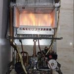 احمدرضا شکوری هوجقان