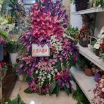 گل فروشی پارادایس