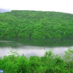 دریاچه سد البرز