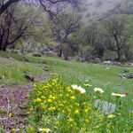 منطقه حفاظت گردیده دنا