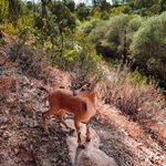 منطقه حفاظت گردیده دنا