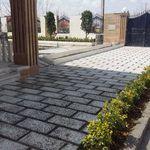 اسماعیل علمشاهی